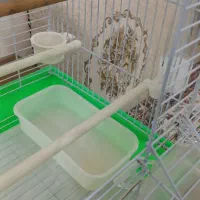 قفس نونو بدون استفاده|لوازم جانبی حیوانات|ایلام, |دیوار