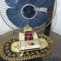پنکه قدبمی سالم|پنکه و تصفیه‌کنندهٔ هوا|آمل, |دیوار