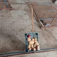 میز دست فروشی برای ماشین یا مغازه