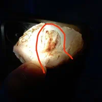 سنگ قدیمی