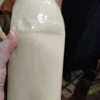 کشک گوسفندی