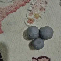 مهره قدیمی|کلکسیون اشیاء عتیقه|رودان, |دیوار