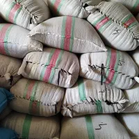 چلتیک گهر قیمت 160