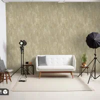 استخدام خانم جهت مدلینگ مبتدی تا حرفه ای