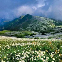 گردشگری|تور و چارتر|رشت, نامجو|دیوار