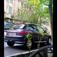 راننده شخصی