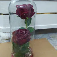 گل مصنوعی|صنایع دستی و سایر لوازم تزئینی|قم, قلعه کامکار|دیوار