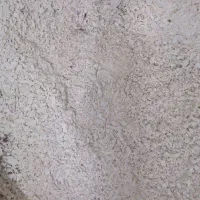 تفاله آرد برای دام طیور