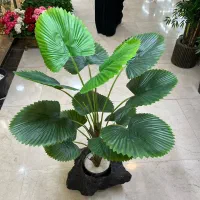 درختچه مصنوعی پالم|گل مصنوعی|تهران, شوش (باغ آذری)|دیوار