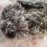 عروسک خرس|اسباببازی بچه|قزوین, |دیوار