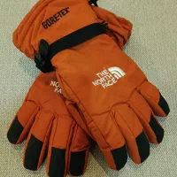 دستکش اسکی GorTex & Northface