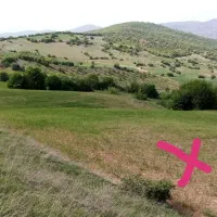 زمین مزروعی کشاورزی