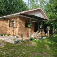 اجاره روزانه ویلاباغ