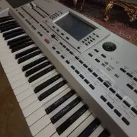 ارگ pa80