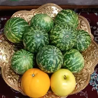 هندوانه طبیعی بادوام یلدای دونه 50|گل و گیاه طبیعی|کرمانشاه, |دیوار