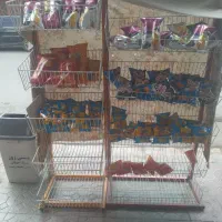 قفسه|کتابخانه، شلف، قفسه‌های دیواری|نورآباد, |دیوار