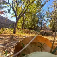 400 متر باغچه کردزار سند دار کاسبی