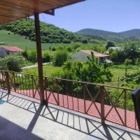 اجاره روزانه