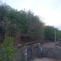 سوئیت جنگلی باپارکینگ