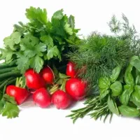 سفارش سبزی پاک شده و سبزی خوردن