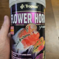 غذای ماهی فلاور هورن تروپیکال