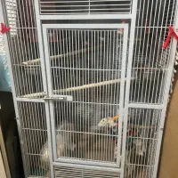 قفس بزرگ کاسکو