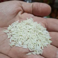 برنج هاشمی درجه یک (پخت فوق العاده)