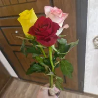 ادیت عکس|خدمات رایانهای و موبایل|تبریز, |دیوار