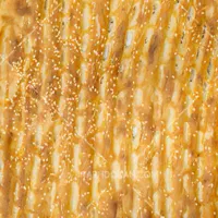 نیازمند به یک شاطر نانوایی بربری تهران