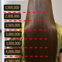 اجاره لاینها کلیه خدمات کاشت ناخن  خدمات کراتین|خدمات آرایشگری و زیبایی|نیشابور, شهرک فیروزه|دیوار