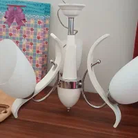 لوستر