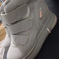 ۴جفت کتونی در حد نو