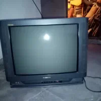 تلویزیون