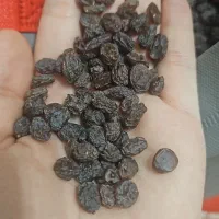 کشمش پاک کرده  تمیز تاکستان