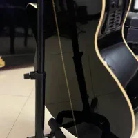 گیتار اکوستیک تاگیما دالاس|گیتار، بیس، امپلیفایر|تهران, نیاوران|دیوار