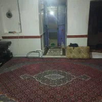 باغ در راه بناب سه راه اسداغی 200متر خاکی