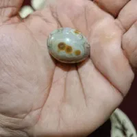 انگشتر محبت|بدلیجات|سوسنگرد, |دیوار