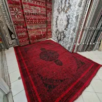 پخش فرش قرمز ۱۲متری در استان خراسان به مدت ۲ هفته
