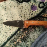 چاقو حیدری نوک تیز|کلکسیون اشیاء عتیقه|زرقان, |دیوار