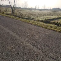 14000متر زمین مسکونی باغی بابر200متر لیسار تالش|فروش زمین و ملک کلنگی|لیسار, |دیوار