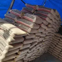 فروش سیمان دیلمان و خزر|عمدهفروشی|رشت, کوی طالقانی|دیوار