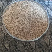 ماش|عمده‌فروشی|ارس, |دیوار