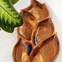 آجیل خوری/ اردوخوری