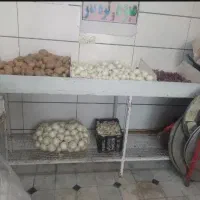بساط میوه فروشی تمام اهن