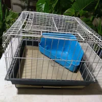 ققفس|لوازم جانبی حیوانات|رشت, علی آباد|دیوار