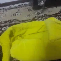 بچه گربه دو ماهه|گربه|سبزوار, سجاد|دیوار