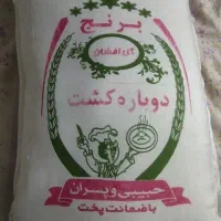 برنج هاشمی دوباره کشت