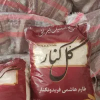 برنج طارم هاشمی