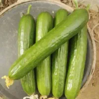 خیاردرجه یک سوپرپی اس