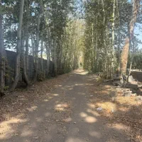 1000باغچه-سر-حال-و-خوش-قیمت